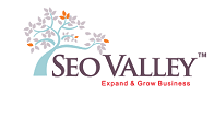 SEOValley Solutions logo