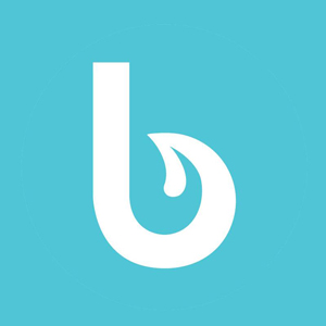 Bellport Branding Logo