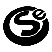 Computer Solutions East Logo
