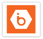 IBEE Hosting Logo
