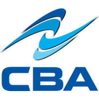 Critical Business Analysis, Inc Logo